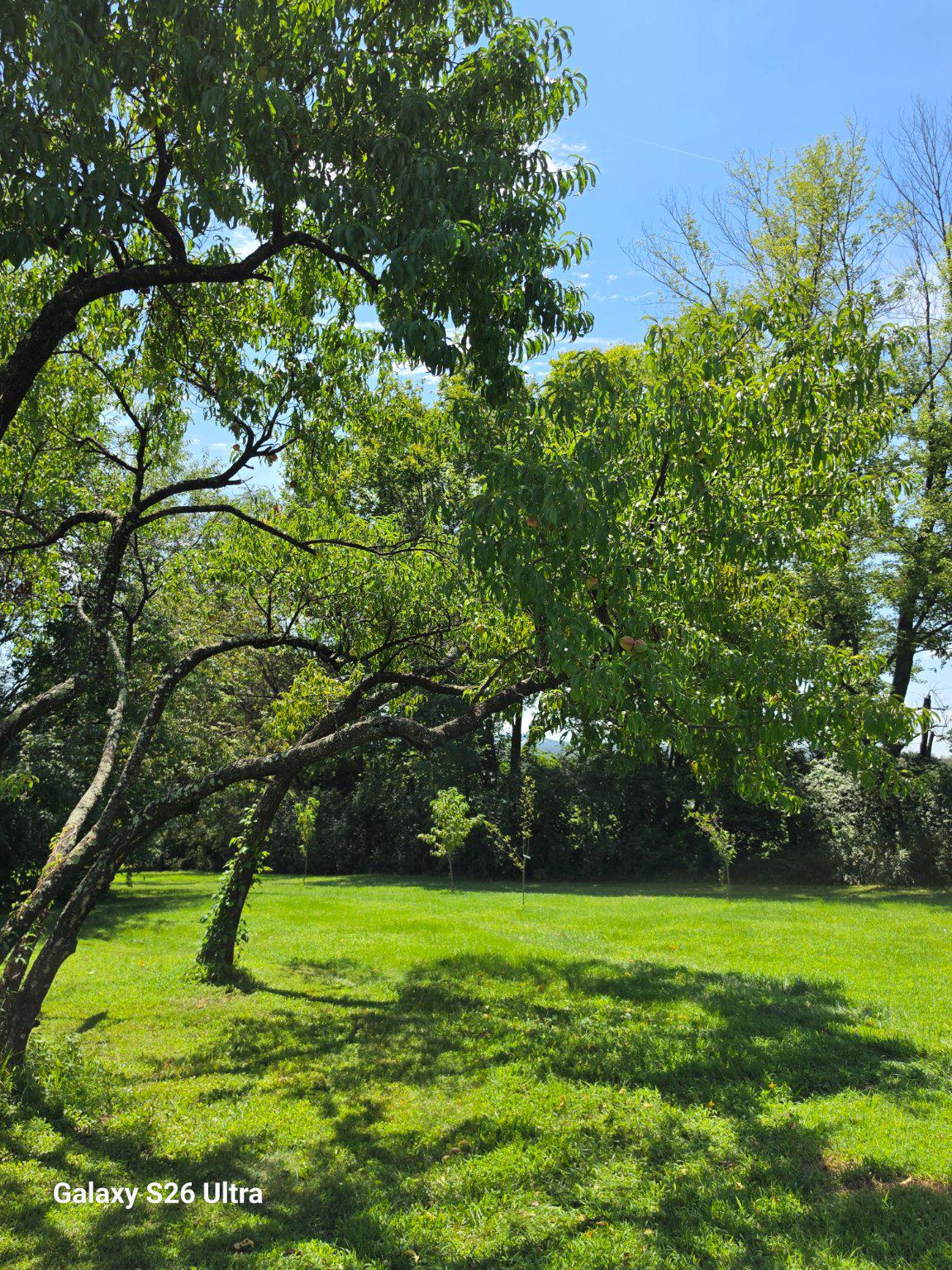 24177 Rapidan Rd Property Photo 34