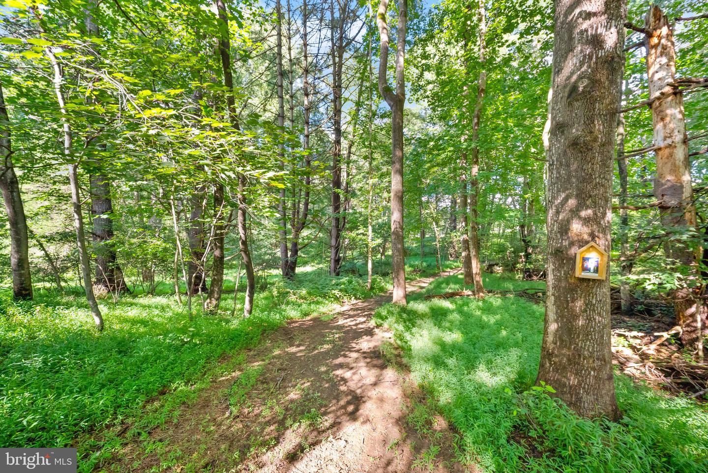 3145 Holly Springs Rd Property Photo 65