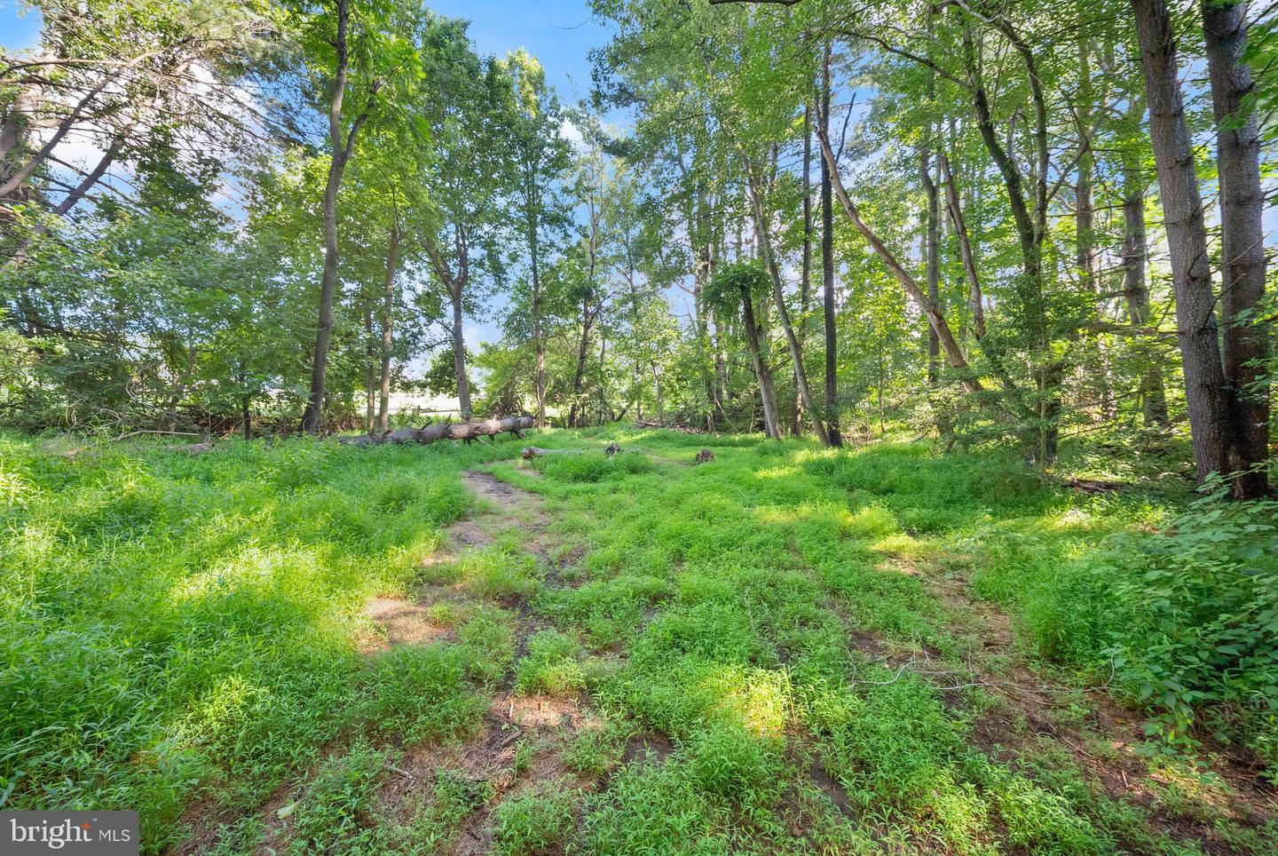3145 Holly Springs Rd Property Photo 66