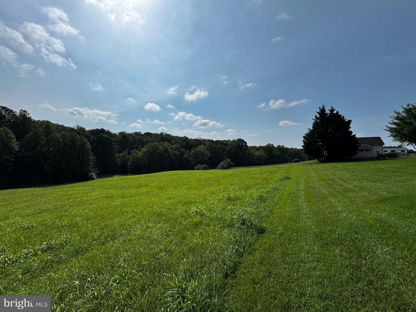 22425 Wicked Bottom Ln Property Photo 5