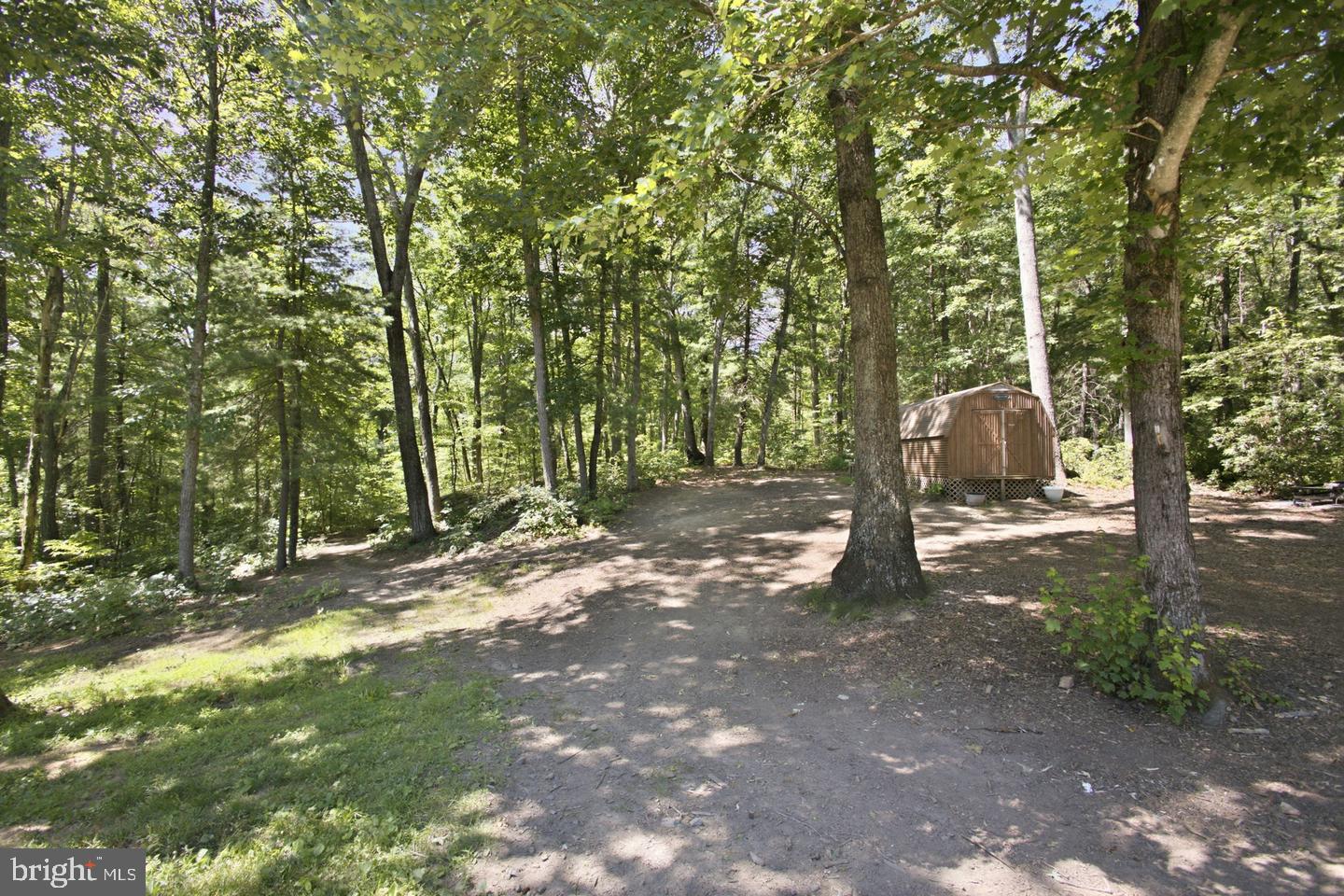 11064 Stream Side Ln Property Photo 49