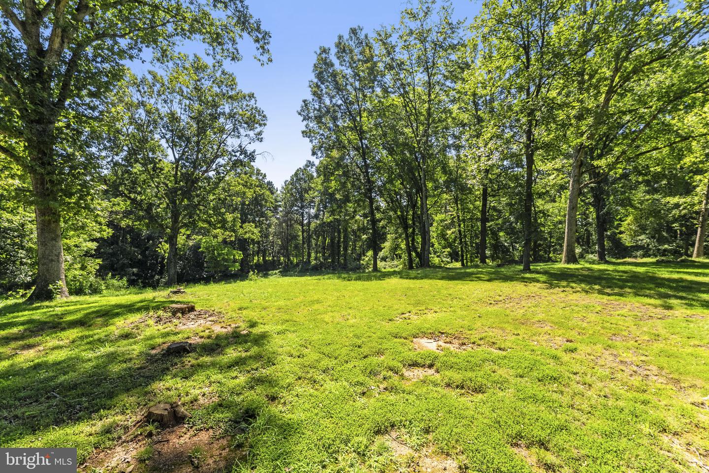 6019 Rixeyville Rd Property Photo 49