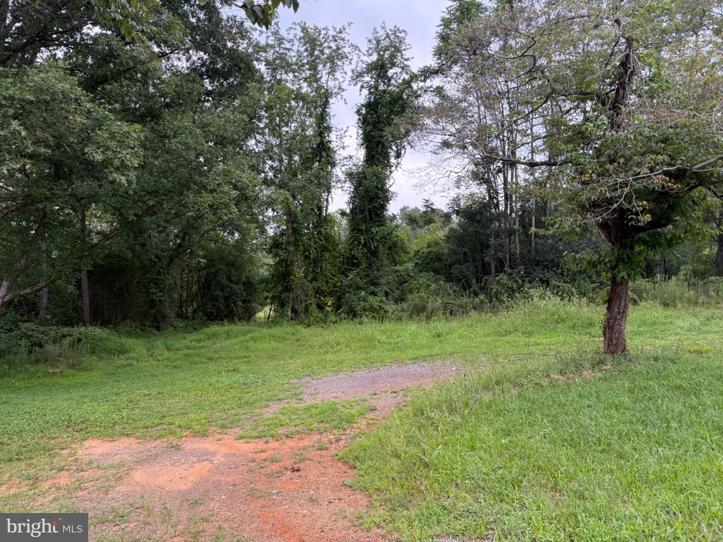 5491 Johnson Ln Property Photo 31