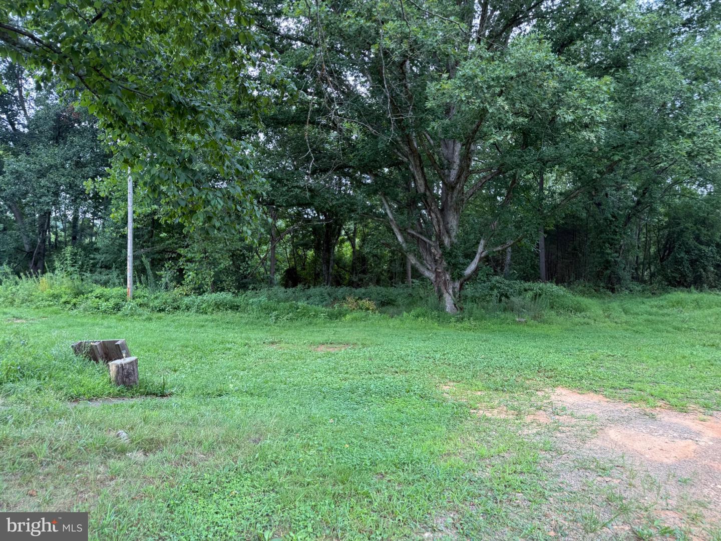 5491 Johnson Ln Property Photo 35