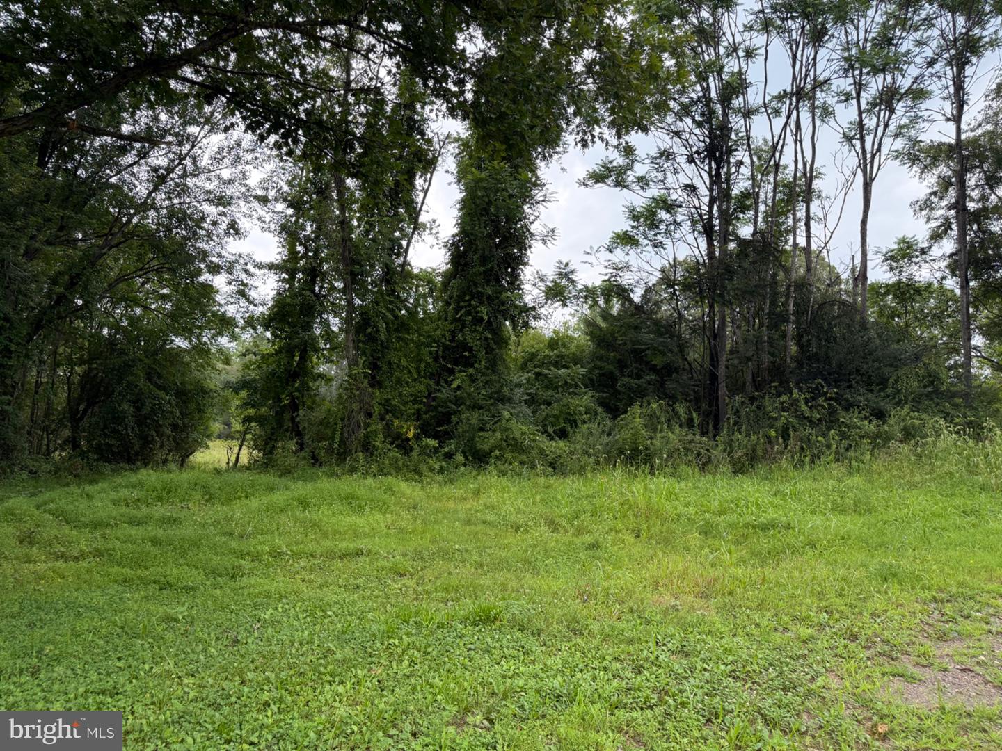 5491 Johnson Ln Property Photo 36