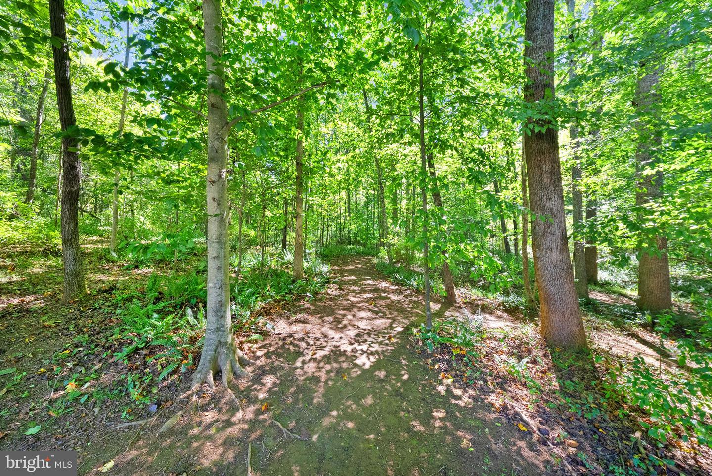 16134 Quail Ridge Dr Property Photo 60