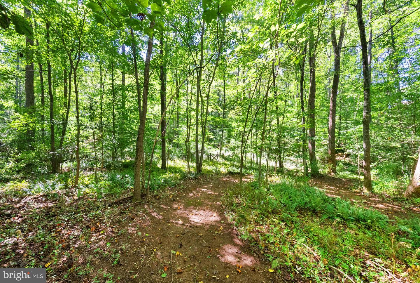 16134 Quail Ridge Dr Property Photo 62