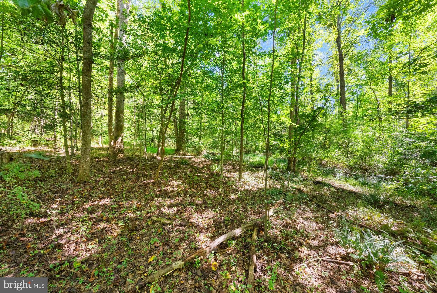 16134 Quail Ridge Dr Property Photo 63