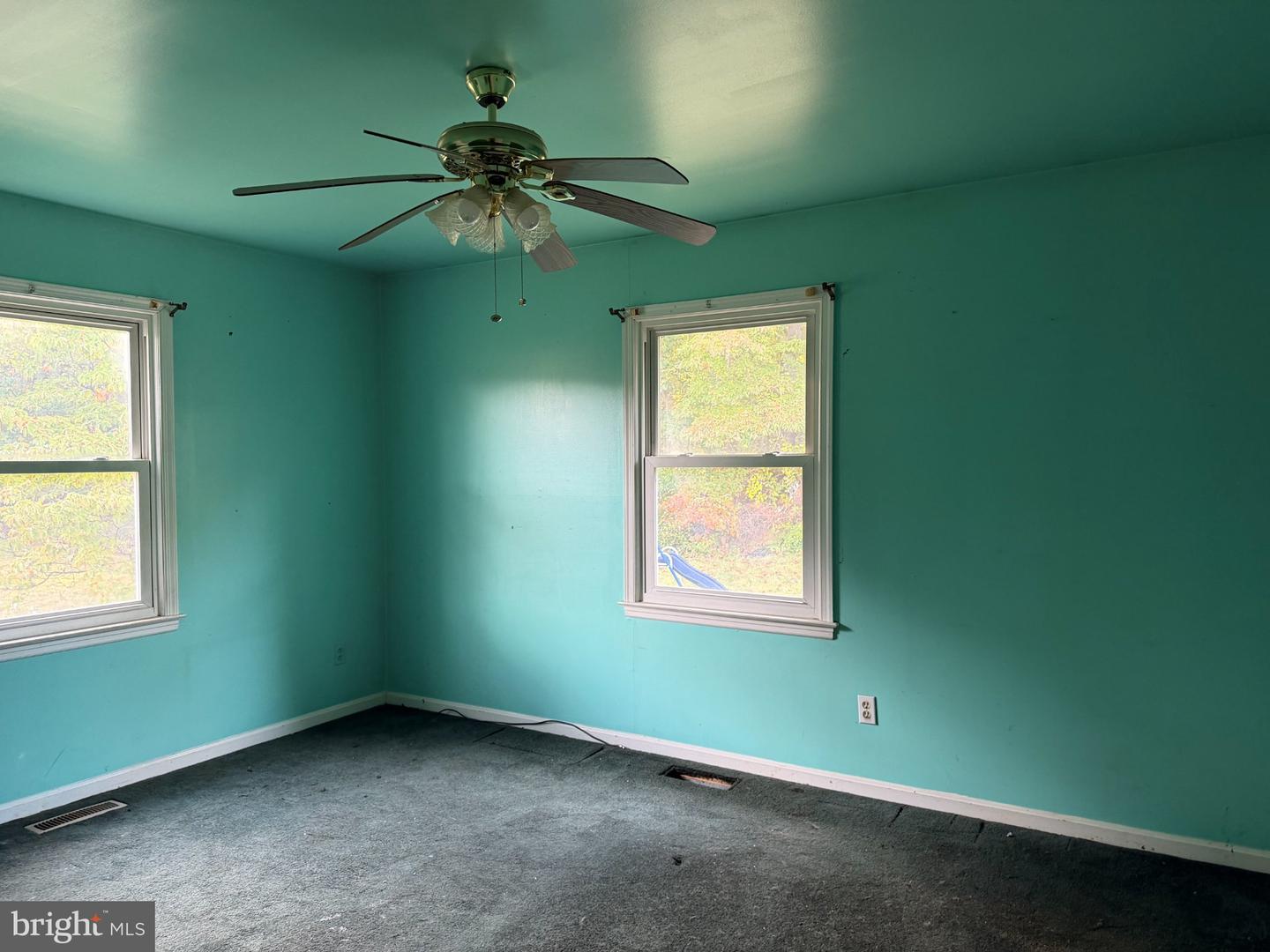 11235 Muddy Run Ln Property Photo 5