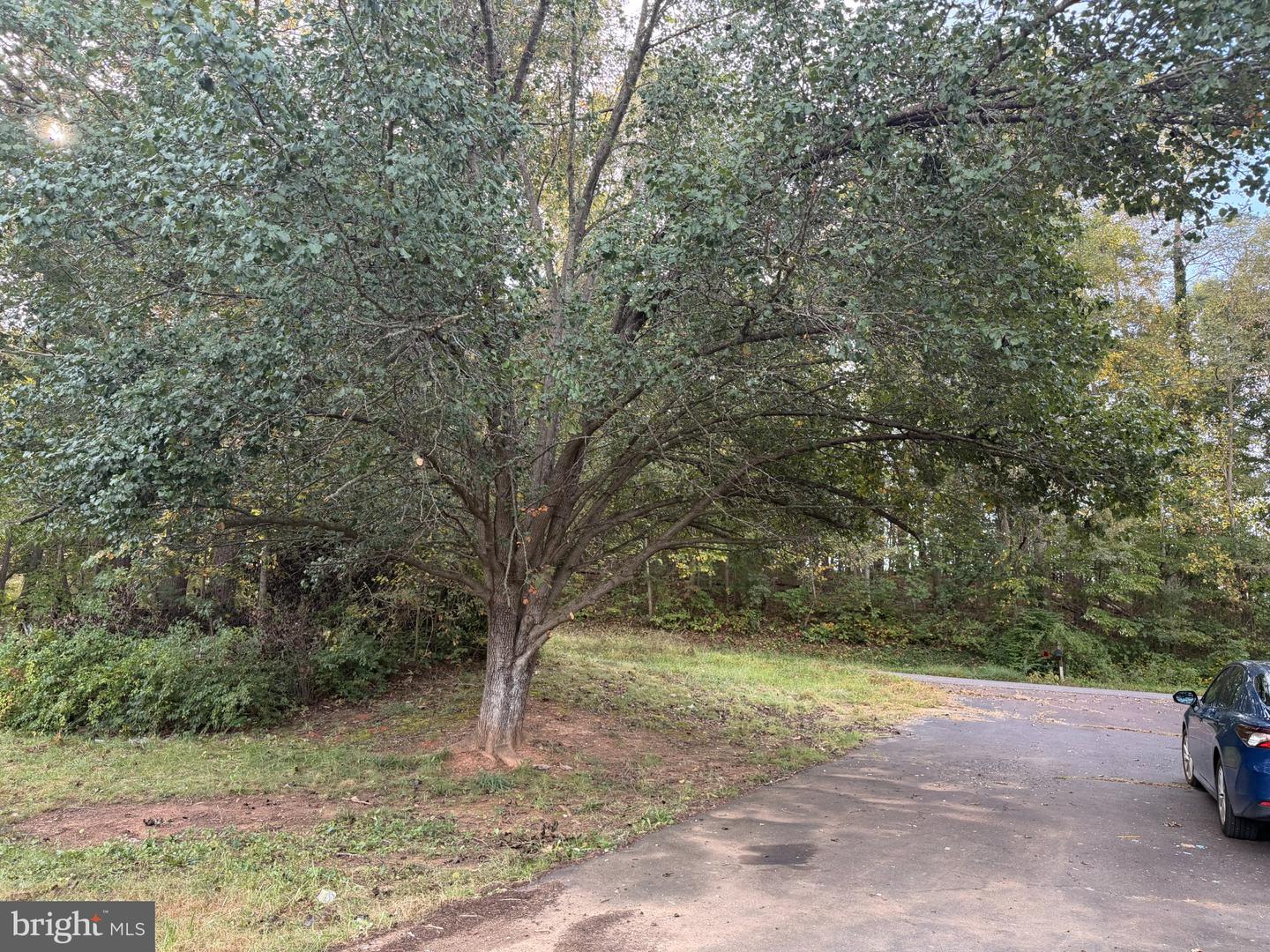 11235 Muddy Run Ln Property Photo 10