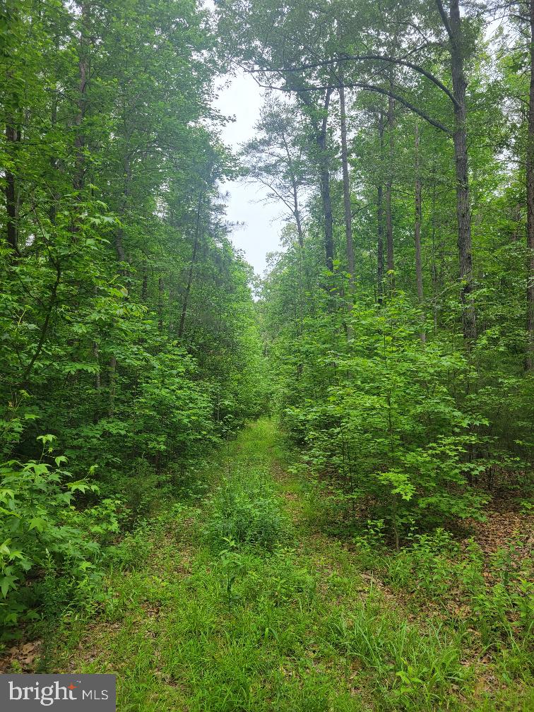 0 Turnpike Property Photo 1
