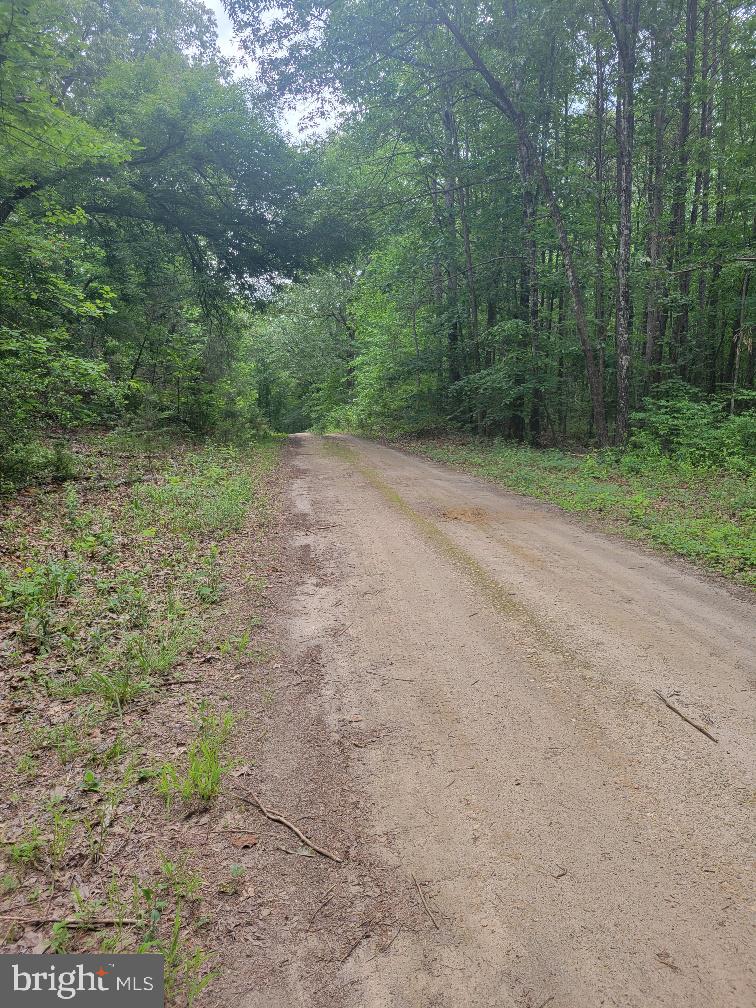 0 Turnpike Property Photo 3