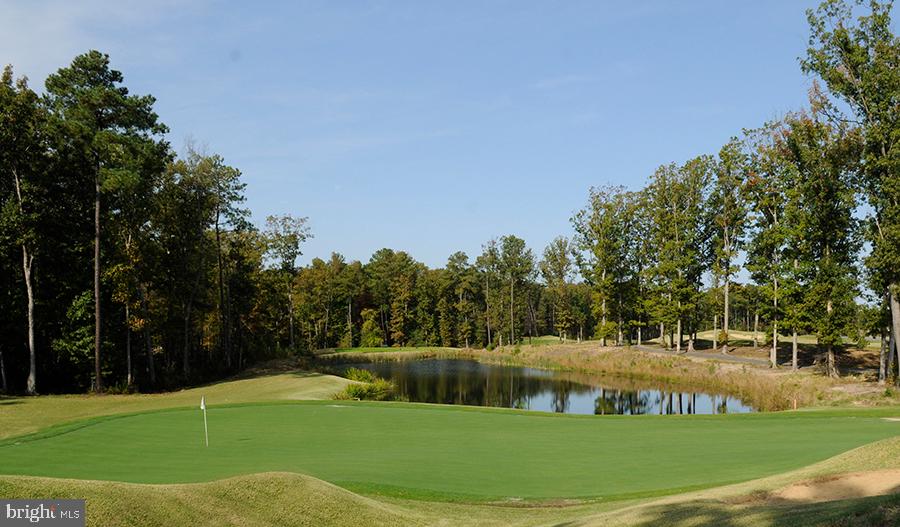 7107 Braxton Ct Property Photo 59