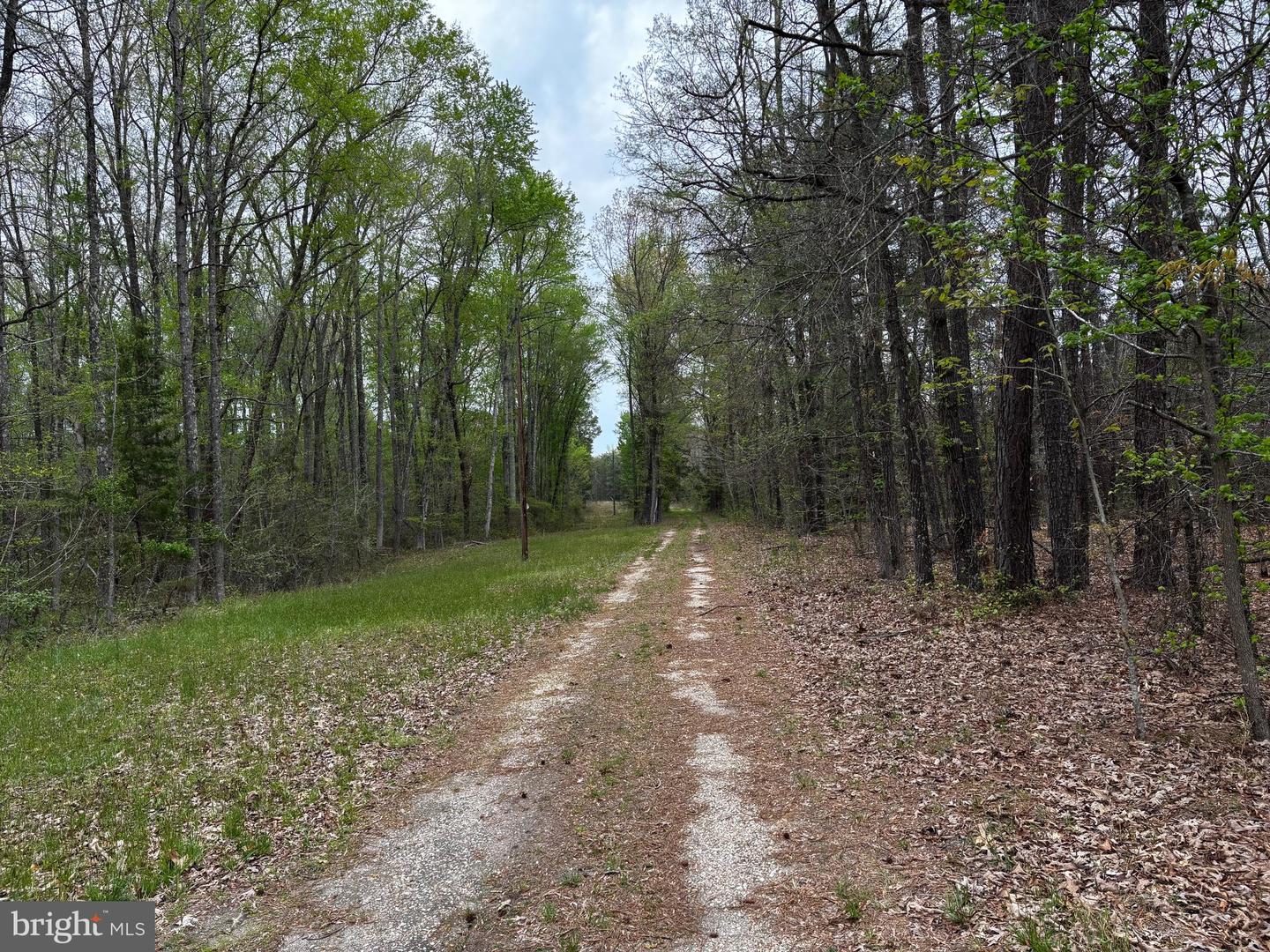 0 Paige Rd Property Photo 5