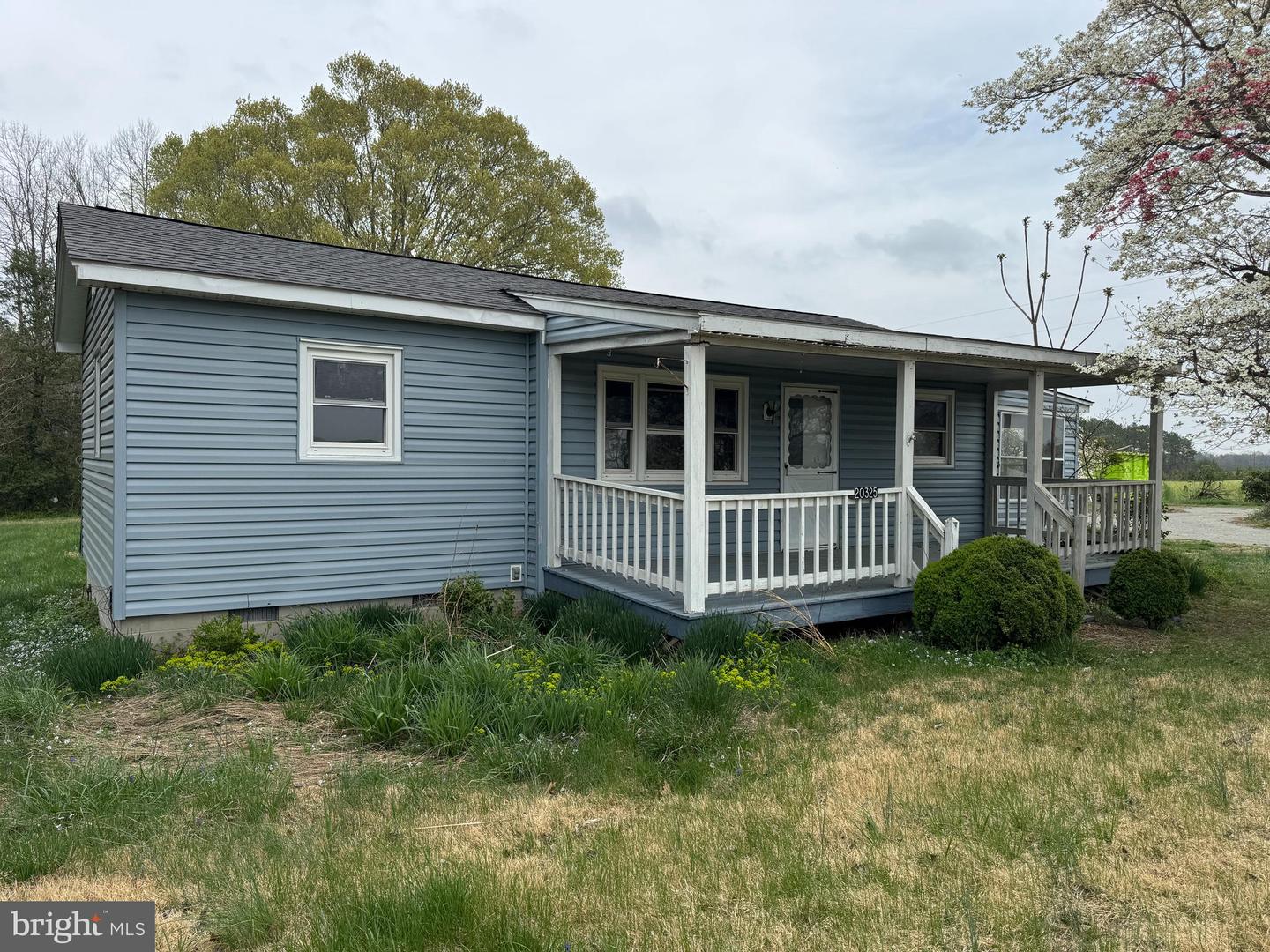 20325 Mattaponi Trl Property Photo