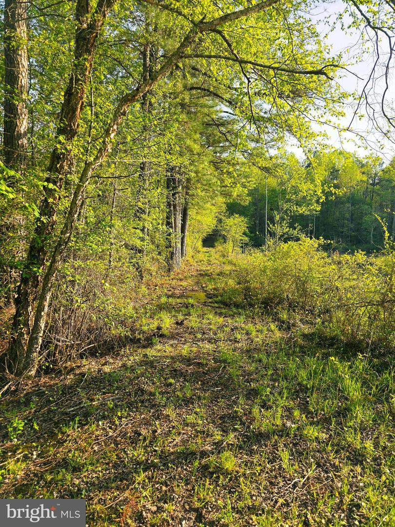 Lot 16 Tax Id 94a-2 B-16 Jennings Dr Property Photo