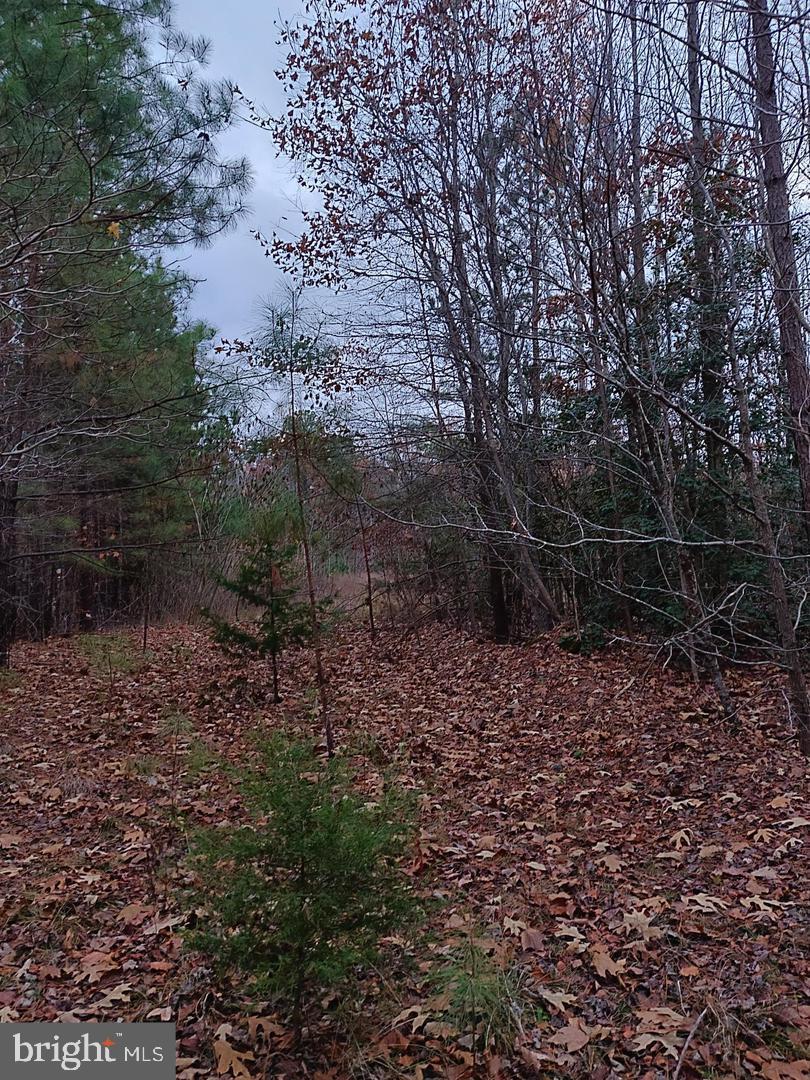 Us Route 1 Property Photo 1