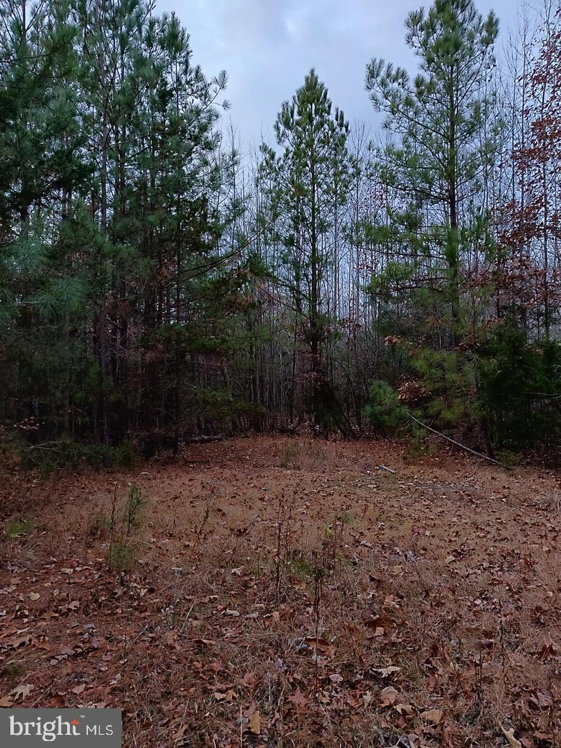 Us Route 1 Property Photo 2