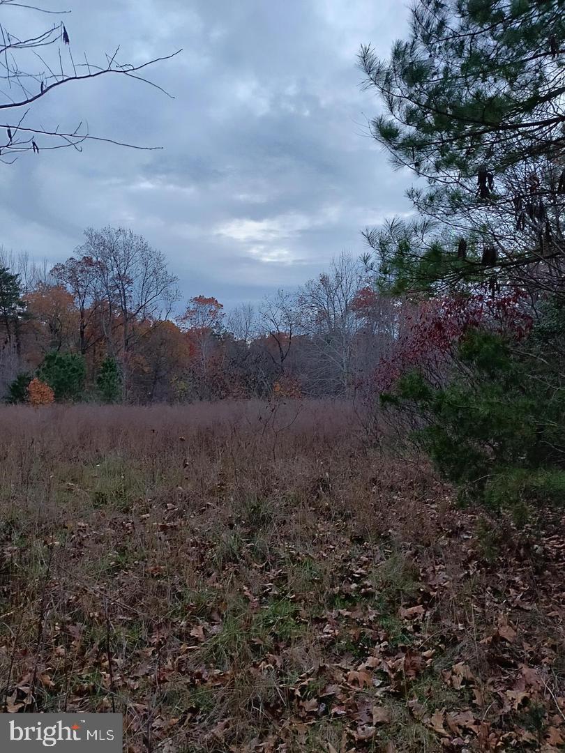 Us Route 1 Property Photo 3