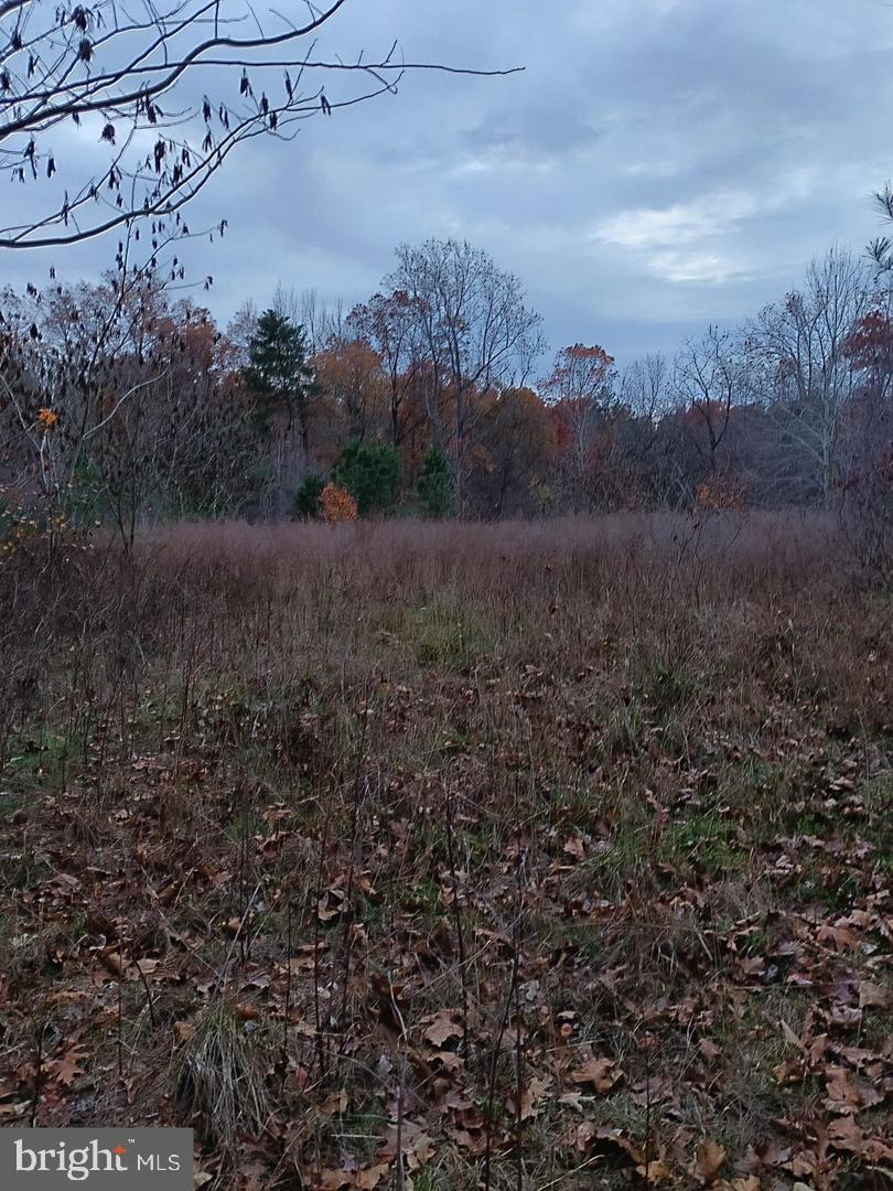Us Route 1 Property Photo 4