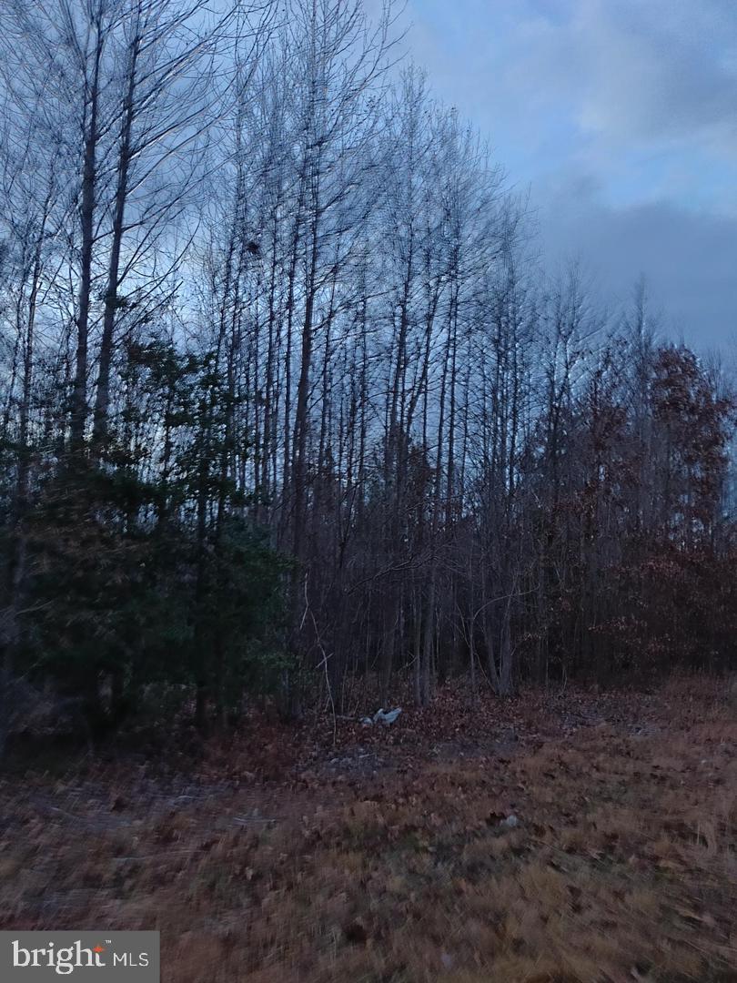 Us Route 1 Property Photo 6