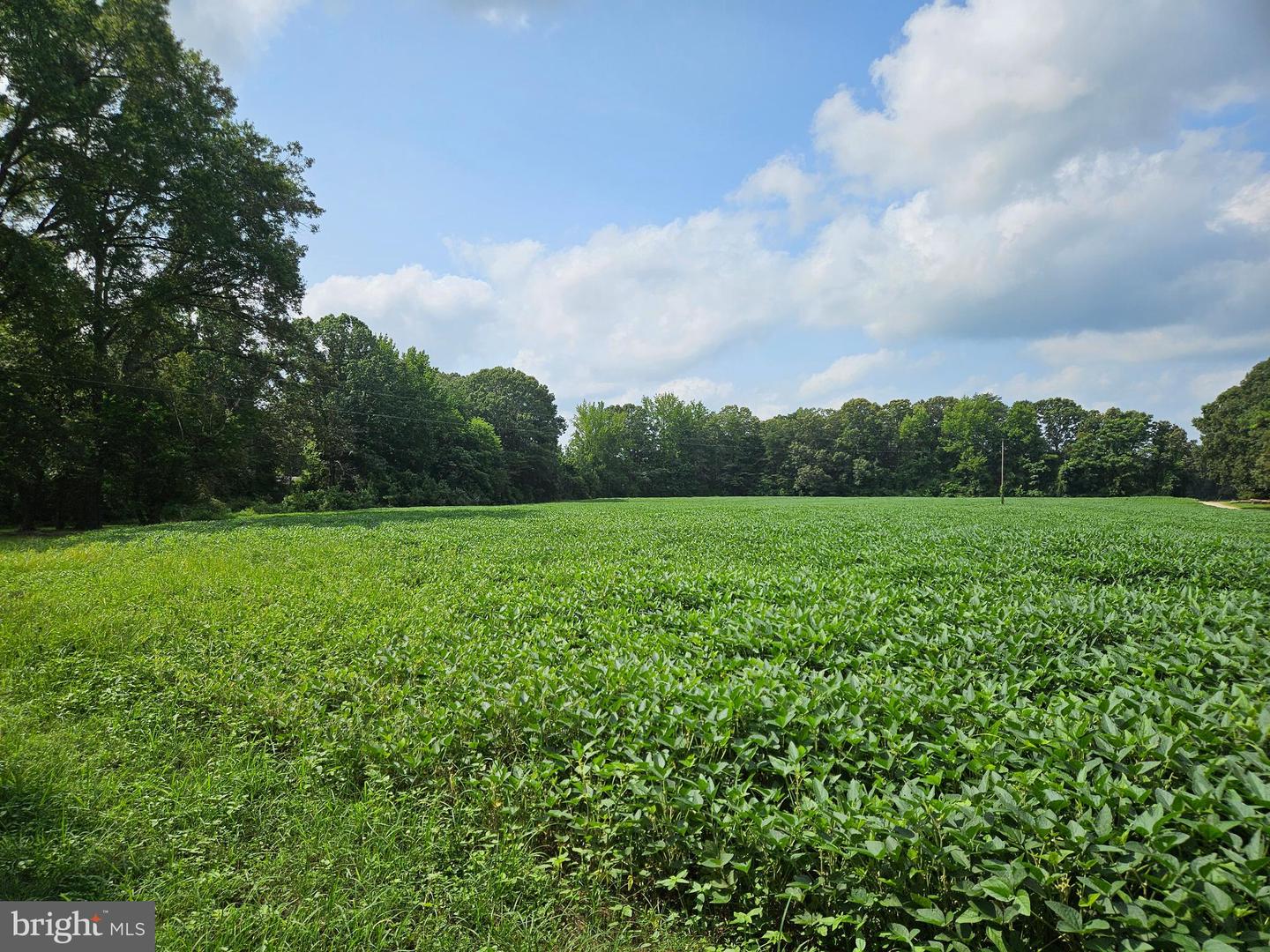 EASEMENT OFF OF LADYSMITH ROAD