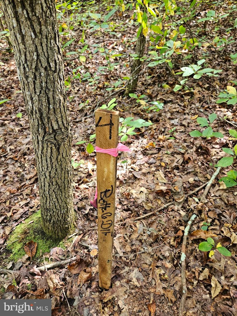 00 Off Of Long Branch Rd Property Photo 5