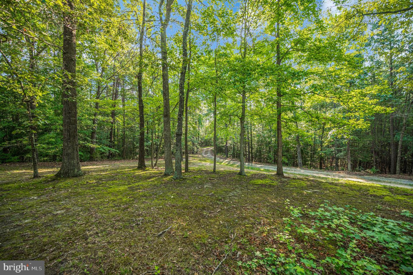 15295 Todd Ln Property Photo 14