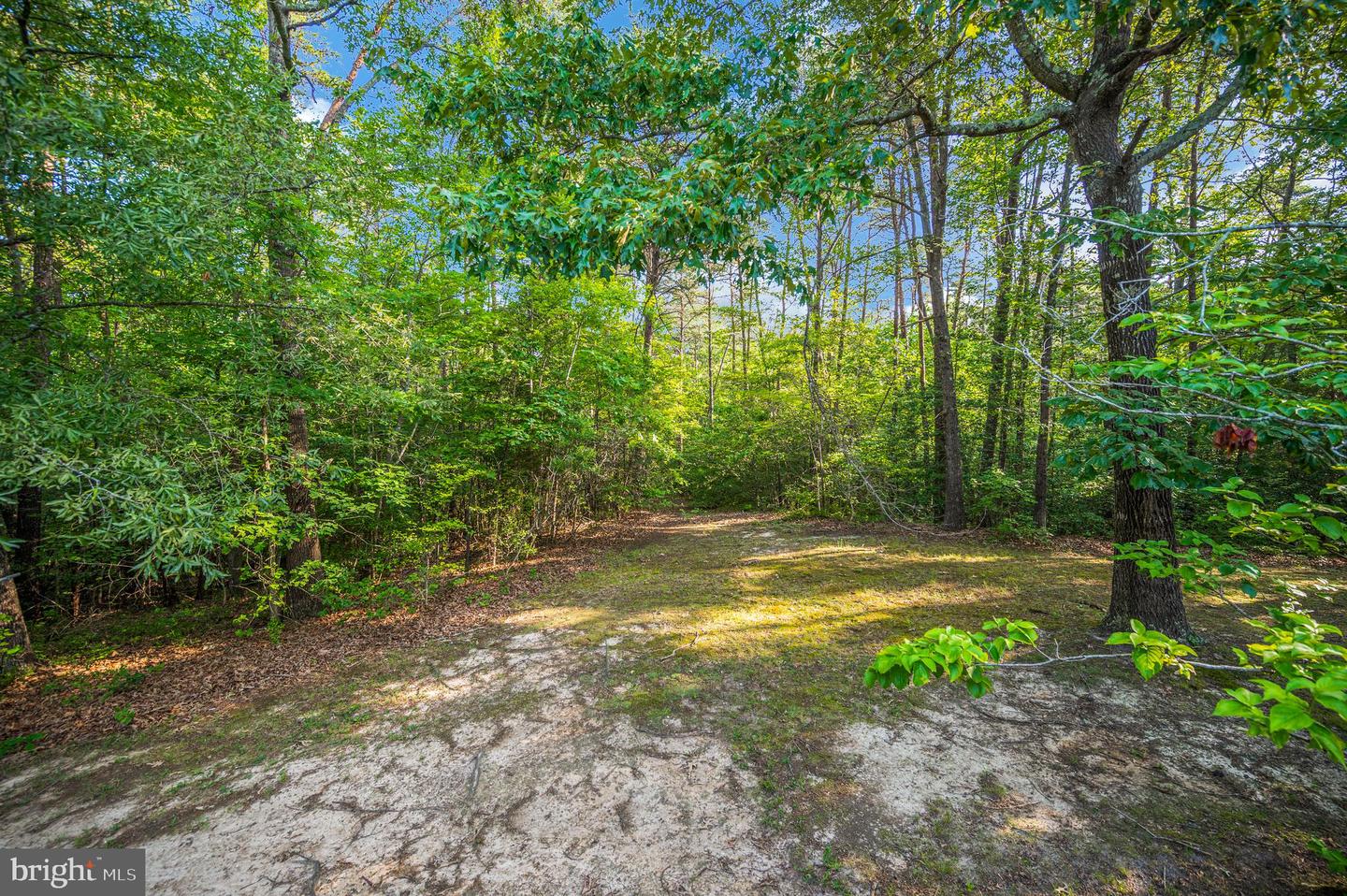 15295 Todd Ln Property Photo 49