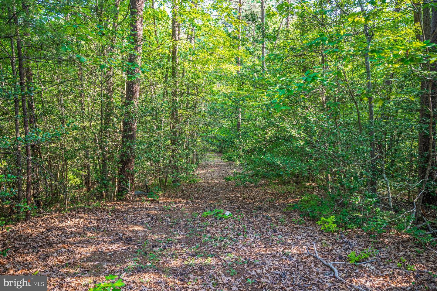 15295 Todd Ln Property Photo 50