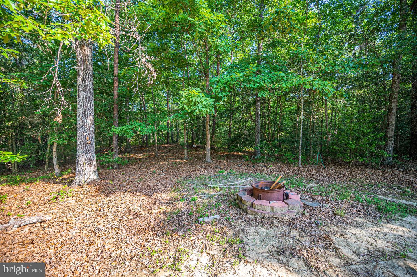 15295 Todd Ln Property Photo 51