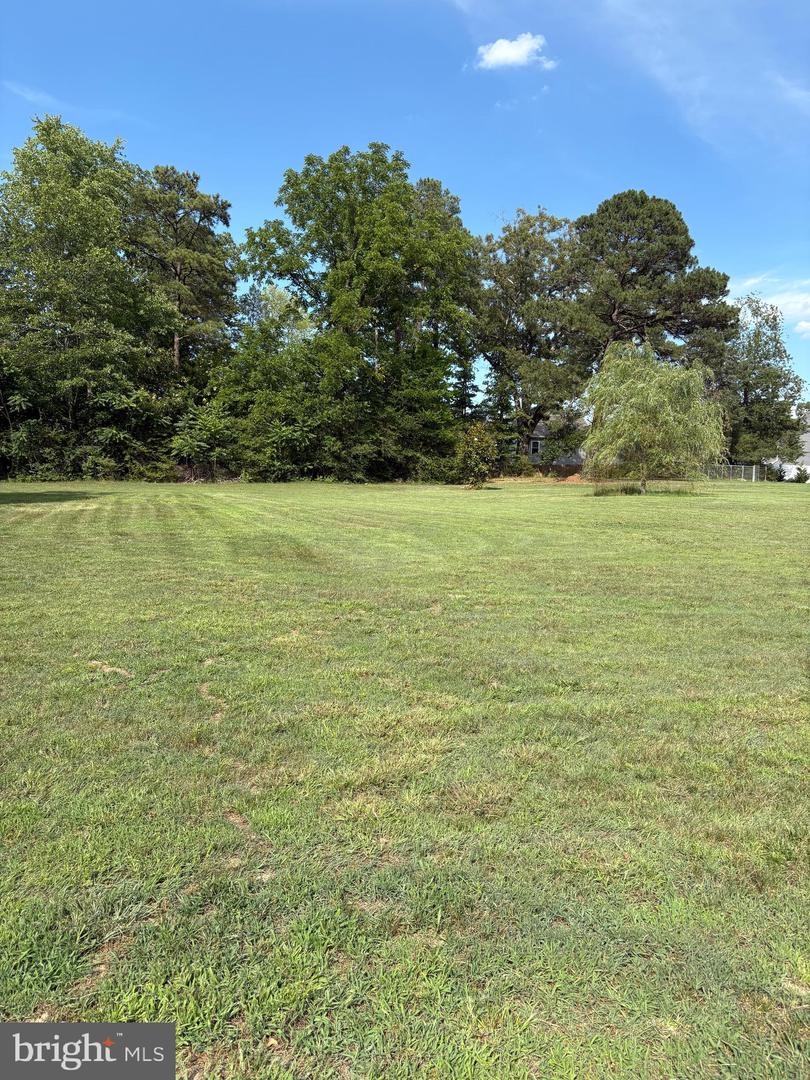 17263 New Baltimore Rd Property Photo 19