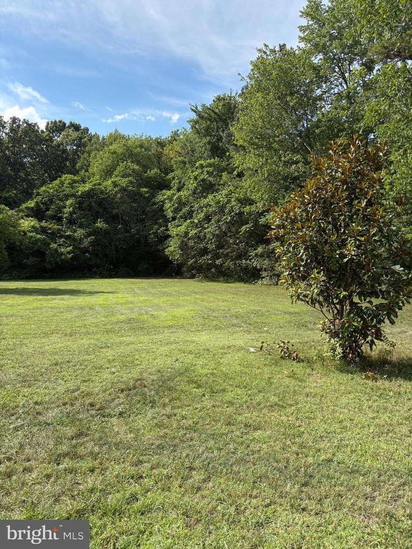 17263 New Baltimore Rd Property Photo 20
