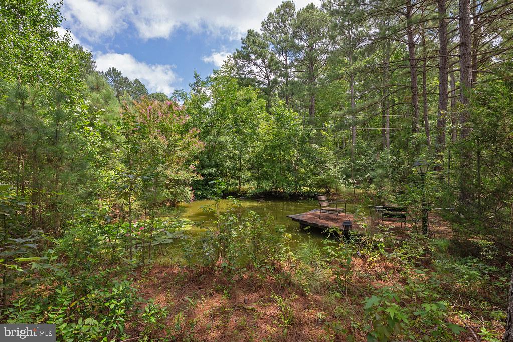 20100 Frog Level Rd Property Photo 21