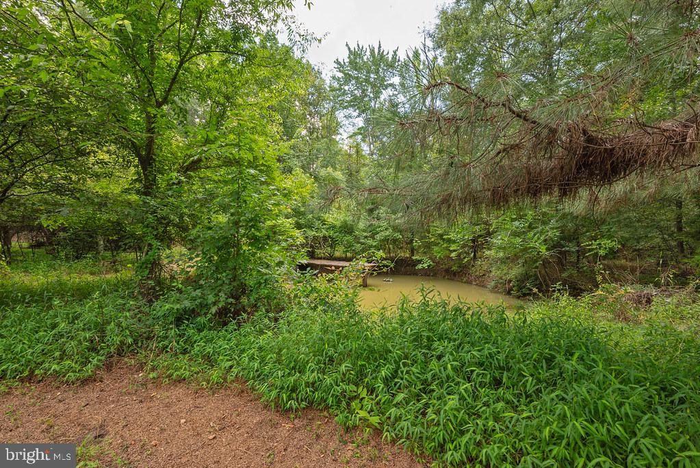 20100 Frog Level Rd Property Photo 23