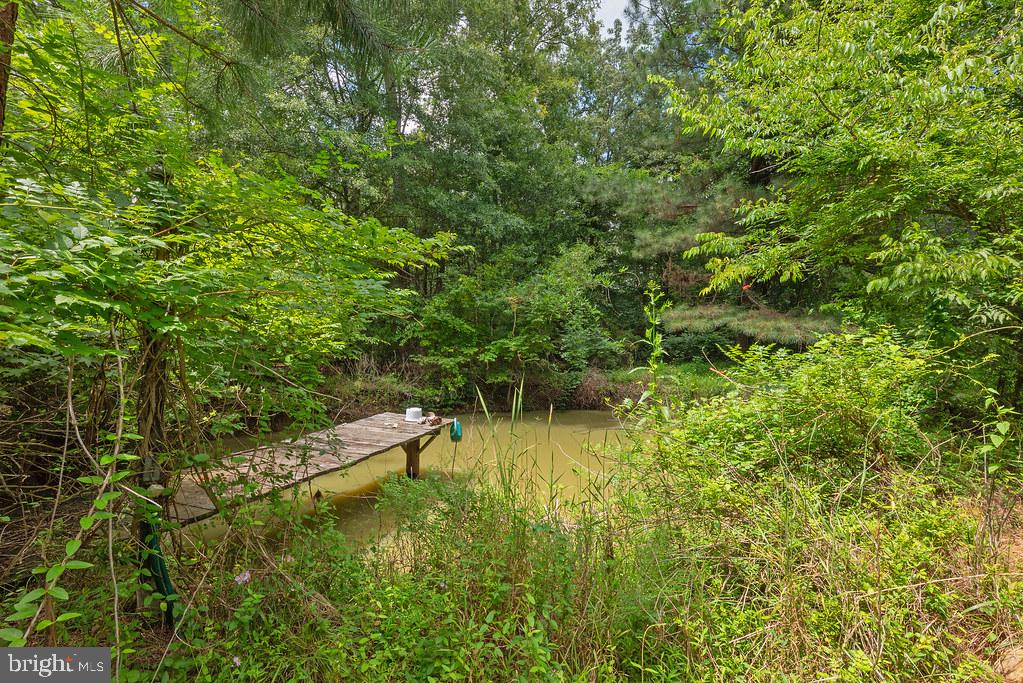 20100 Frog Level Rd Property Photo 24