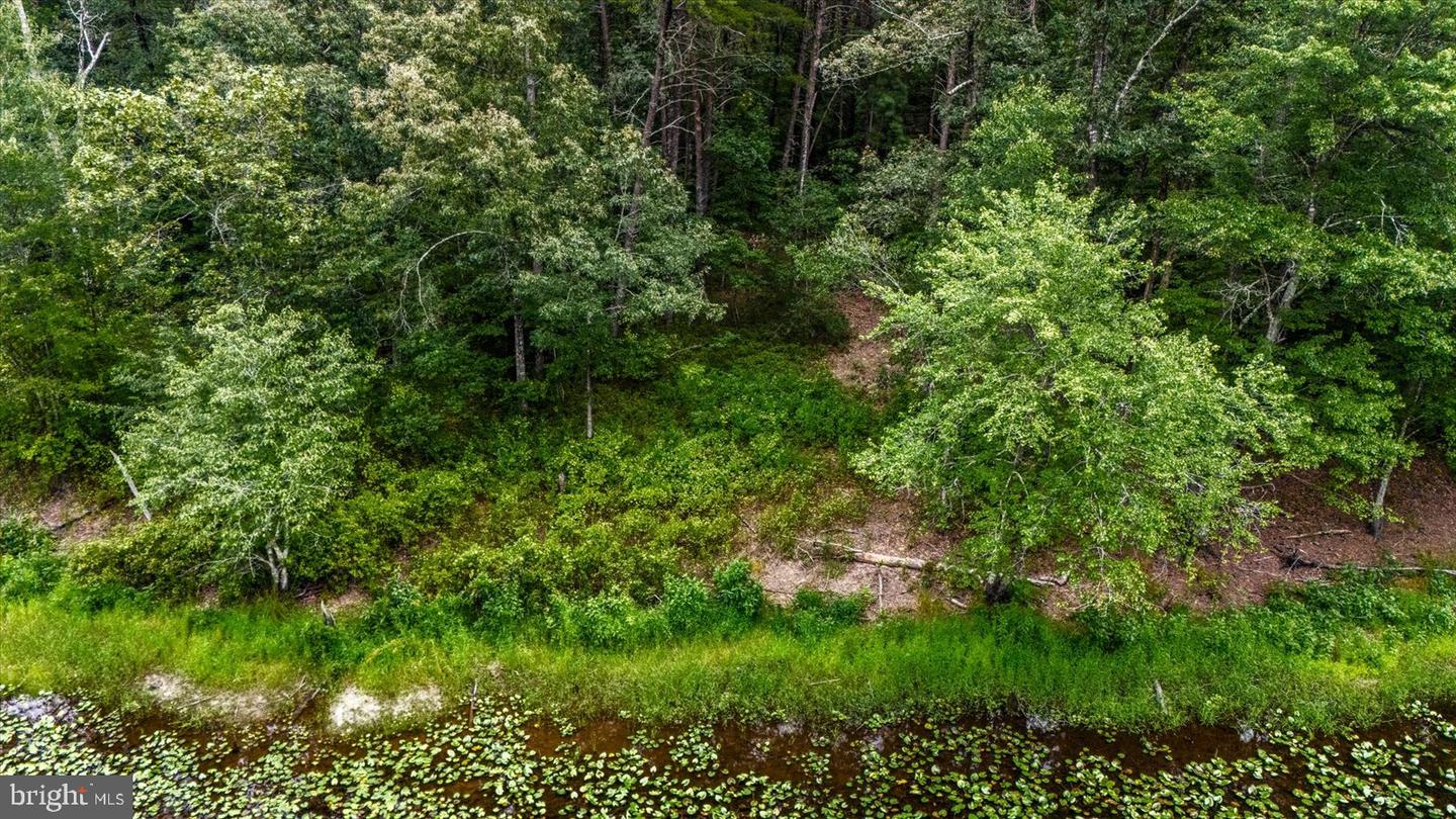 Pond Rd Property Photo 8