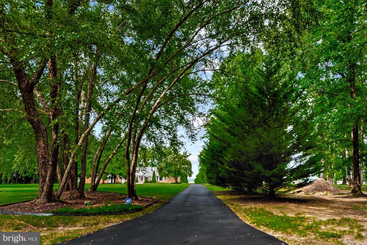 29475 Goose Point Ct Property Photo 4