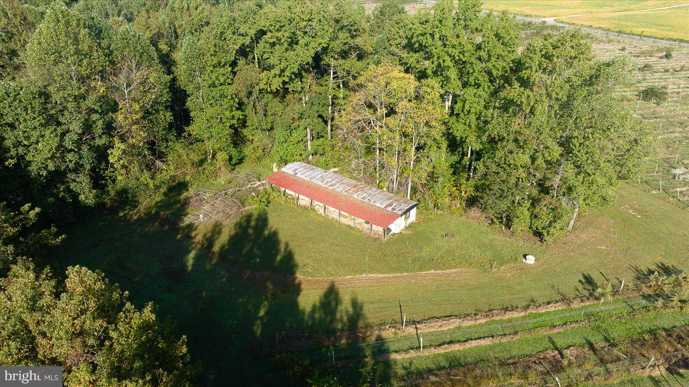667 Hustle Rd Property Photo 98