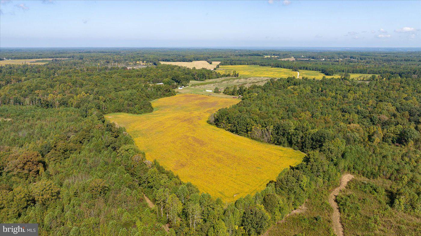 667 Hustle Rd Property Photo 110