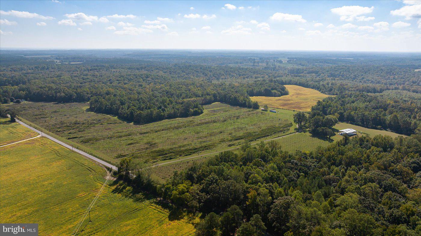 667 Hustle Rd Property Photo 115