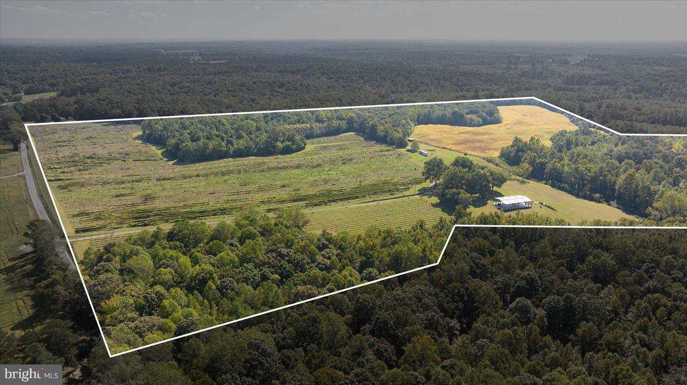 667 Hustle Rd Property Photo 116