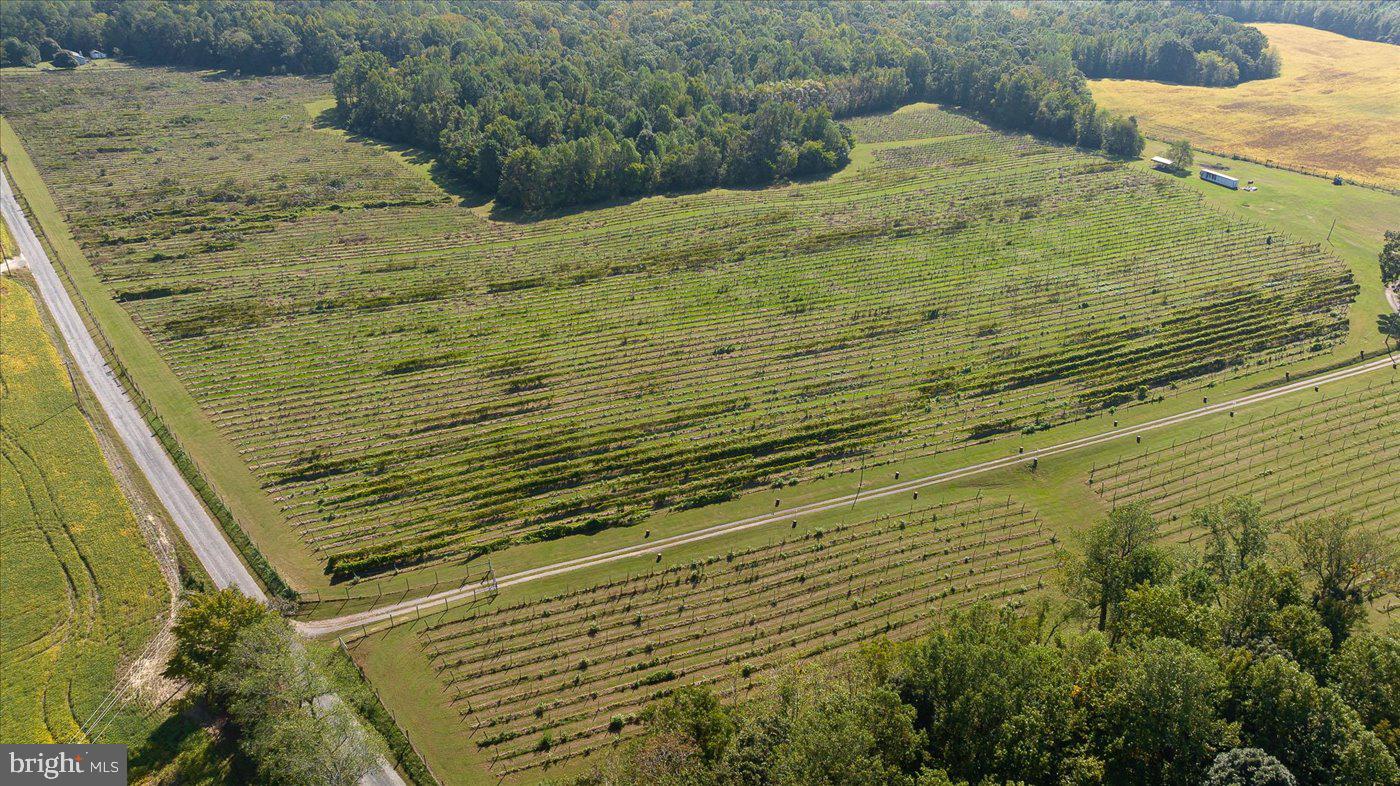 667 Hustle Rd Property Photo 117