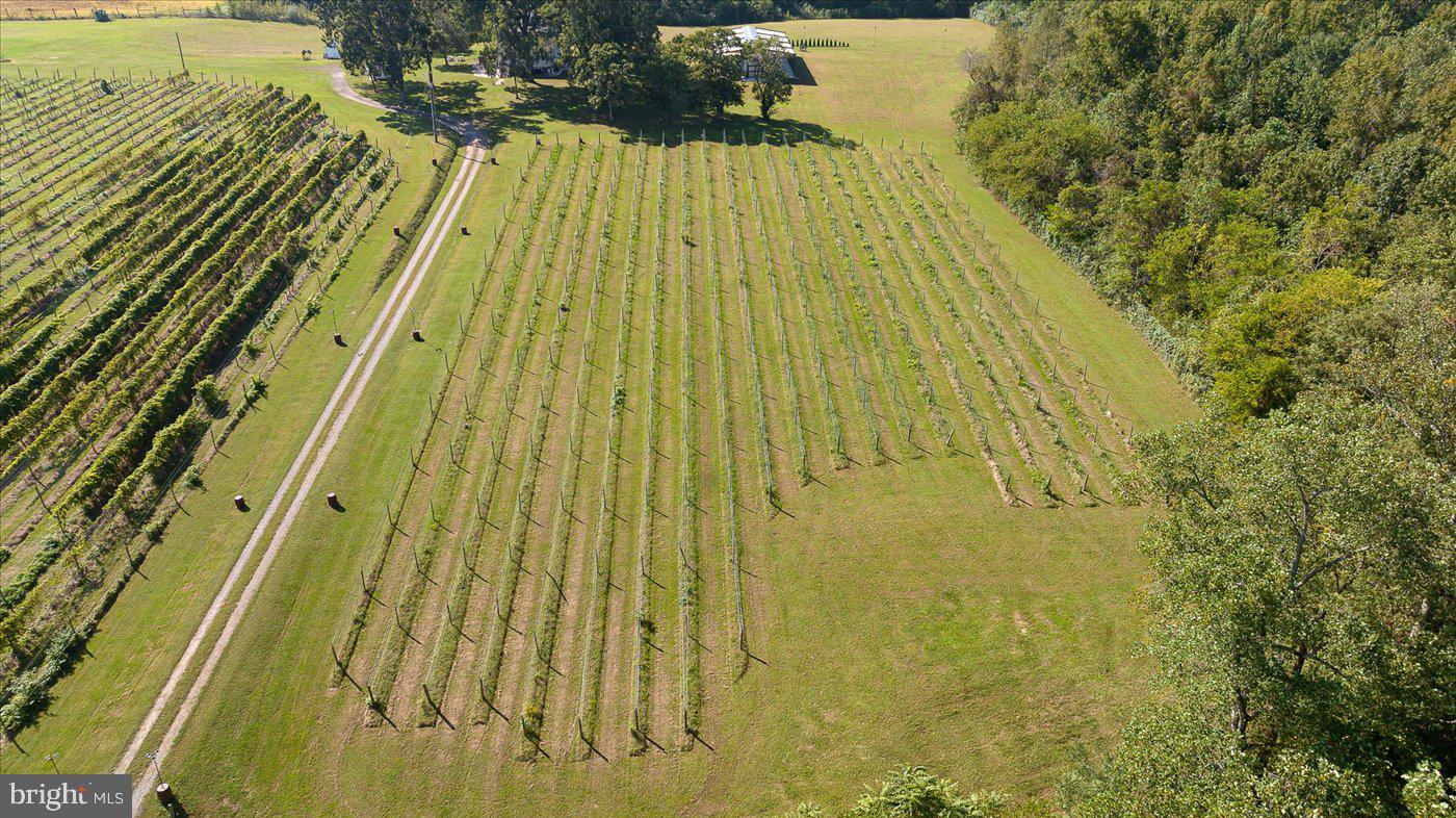 667 Hustle Rd Property Photo 120