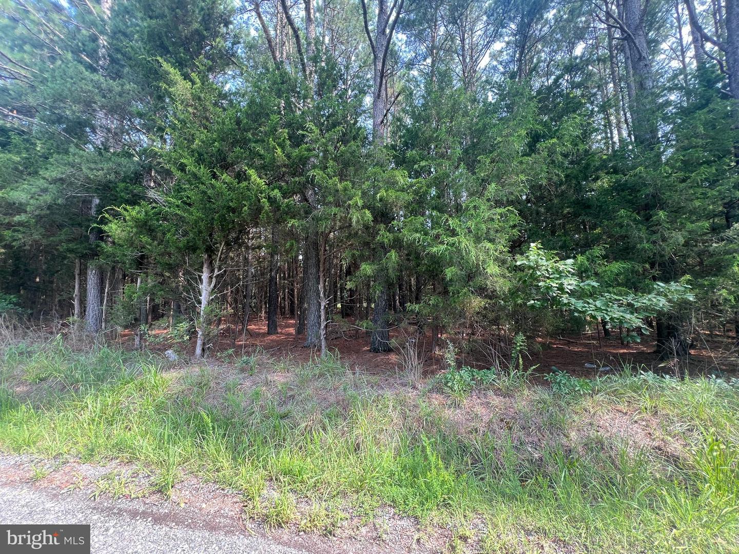 0 Tidewater Trail Property Photo 3