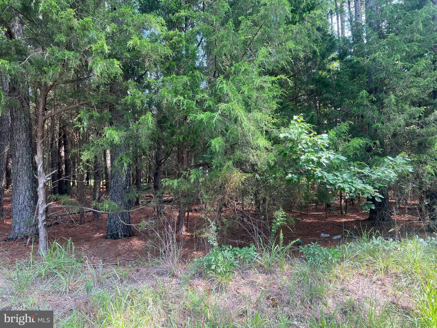 0 Tidewater Trail Property Photo 5