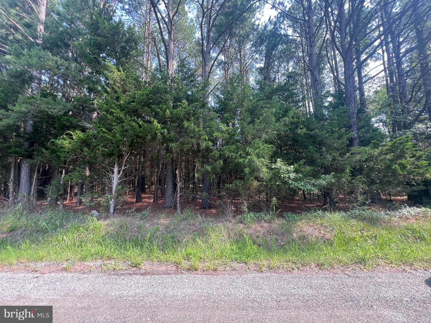 0 Tidewater Trail Property Photo 6