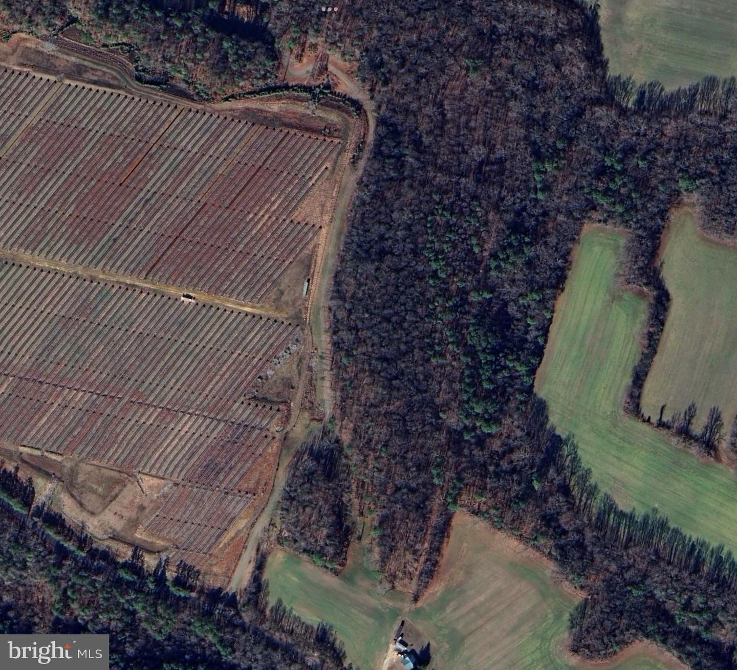 0 Muddy Gut Rd Property Photo 1