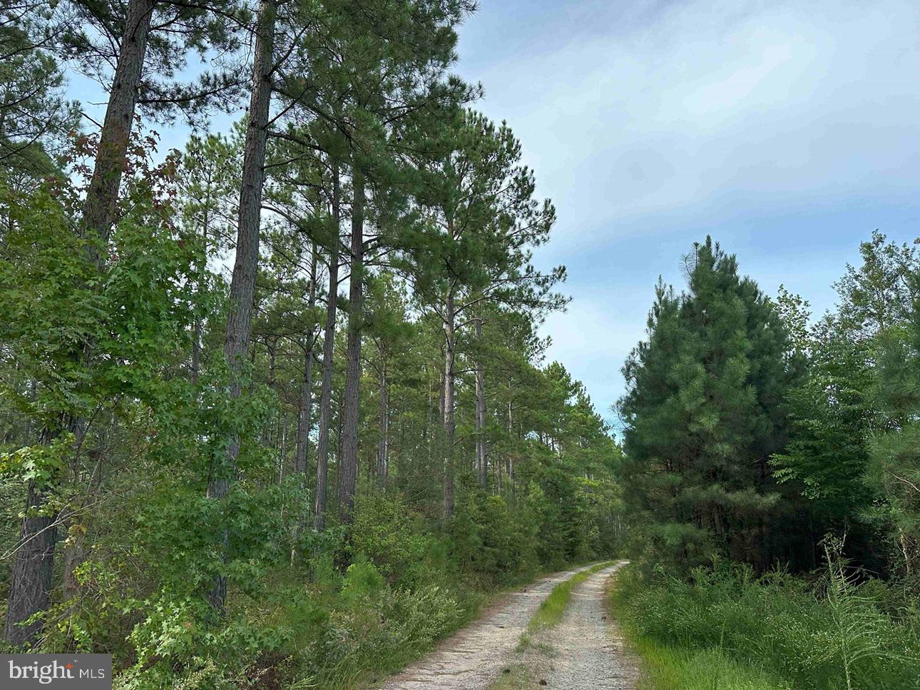 Hustle Road Property Photo