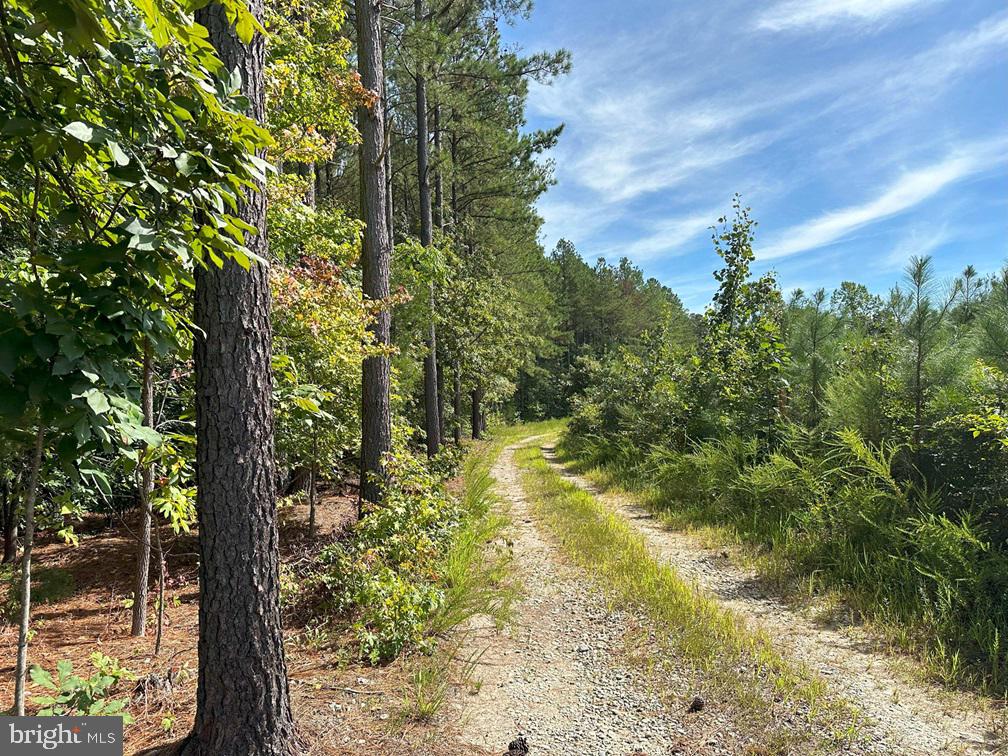 Rose Mt. Road (rt. 635) Property Photo